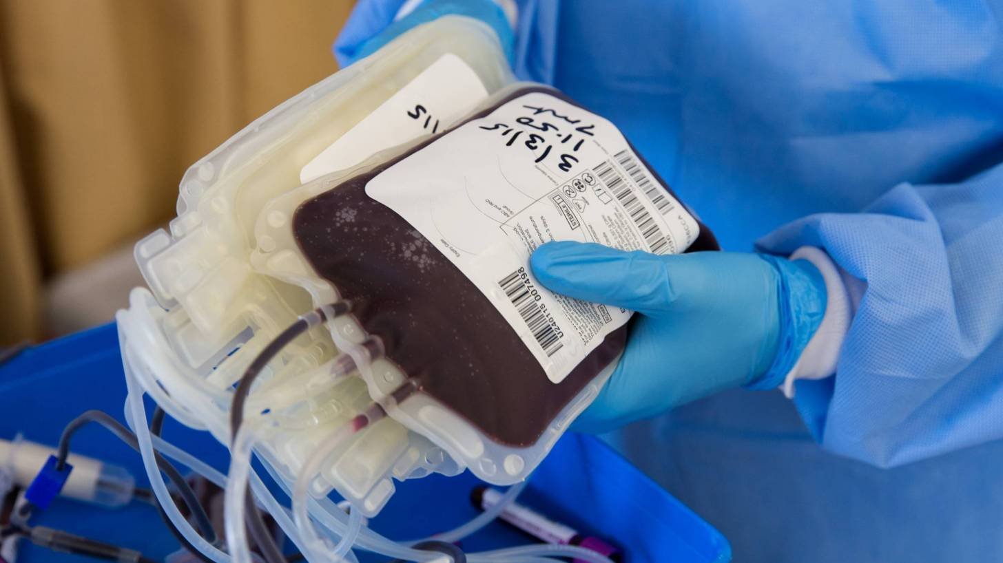 blood donor bags