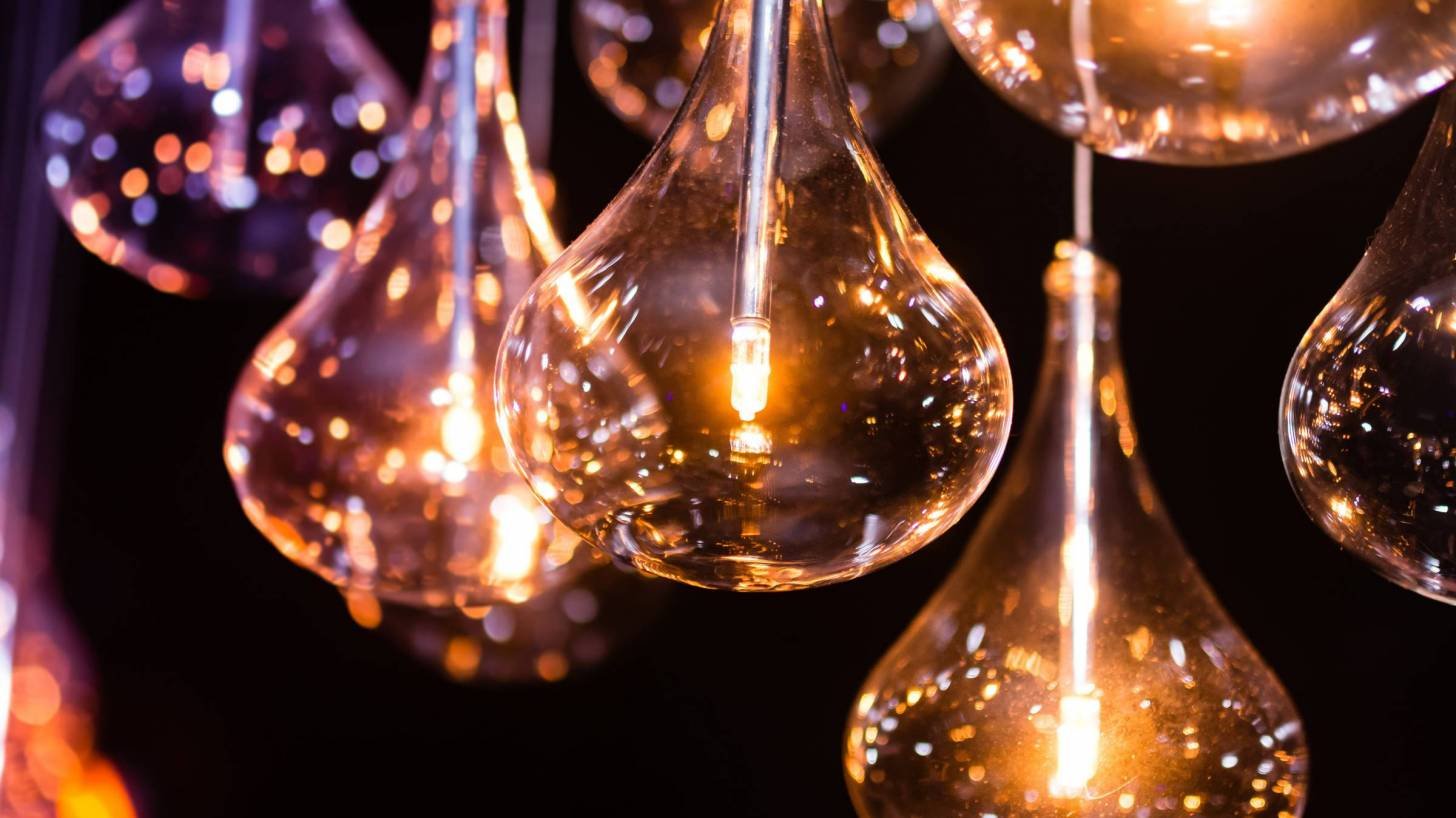 display of light bulbs