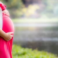 pregnant belly
