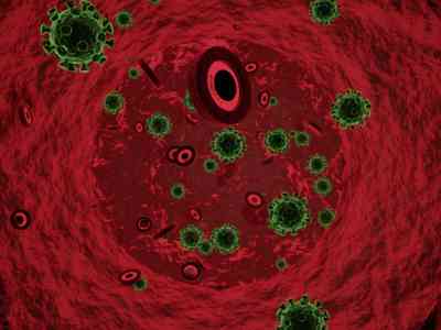 depiction of the sars-cov-2 virus in blood